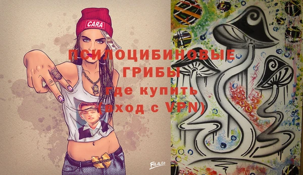 ПСИЛОЦИБИНОВЫЕ ГРИБЫ Беломорск