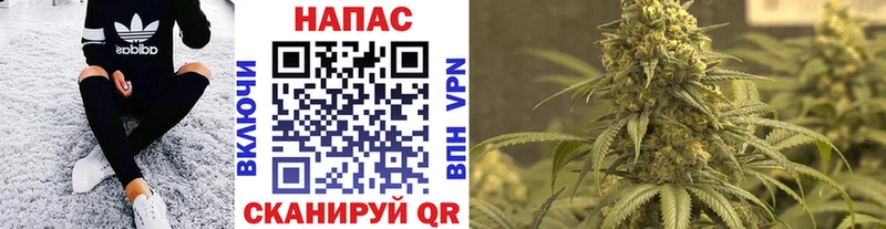 Бошки Шишки THC 21%  Купить закладки  Наро-Фоминск 